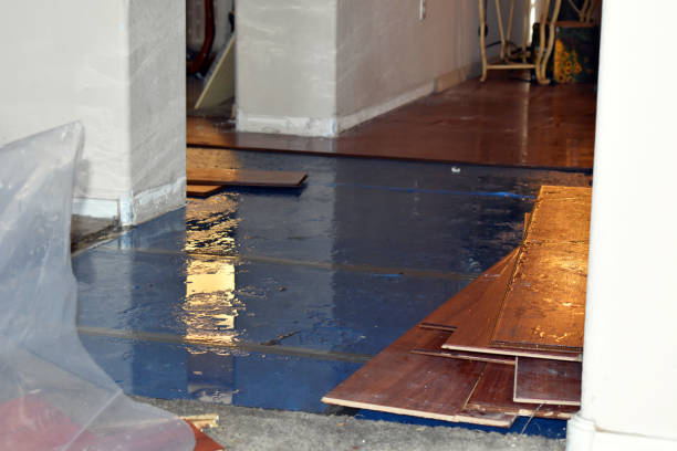 Professional Burst Pipe Cleanup technician working in Linden, CA